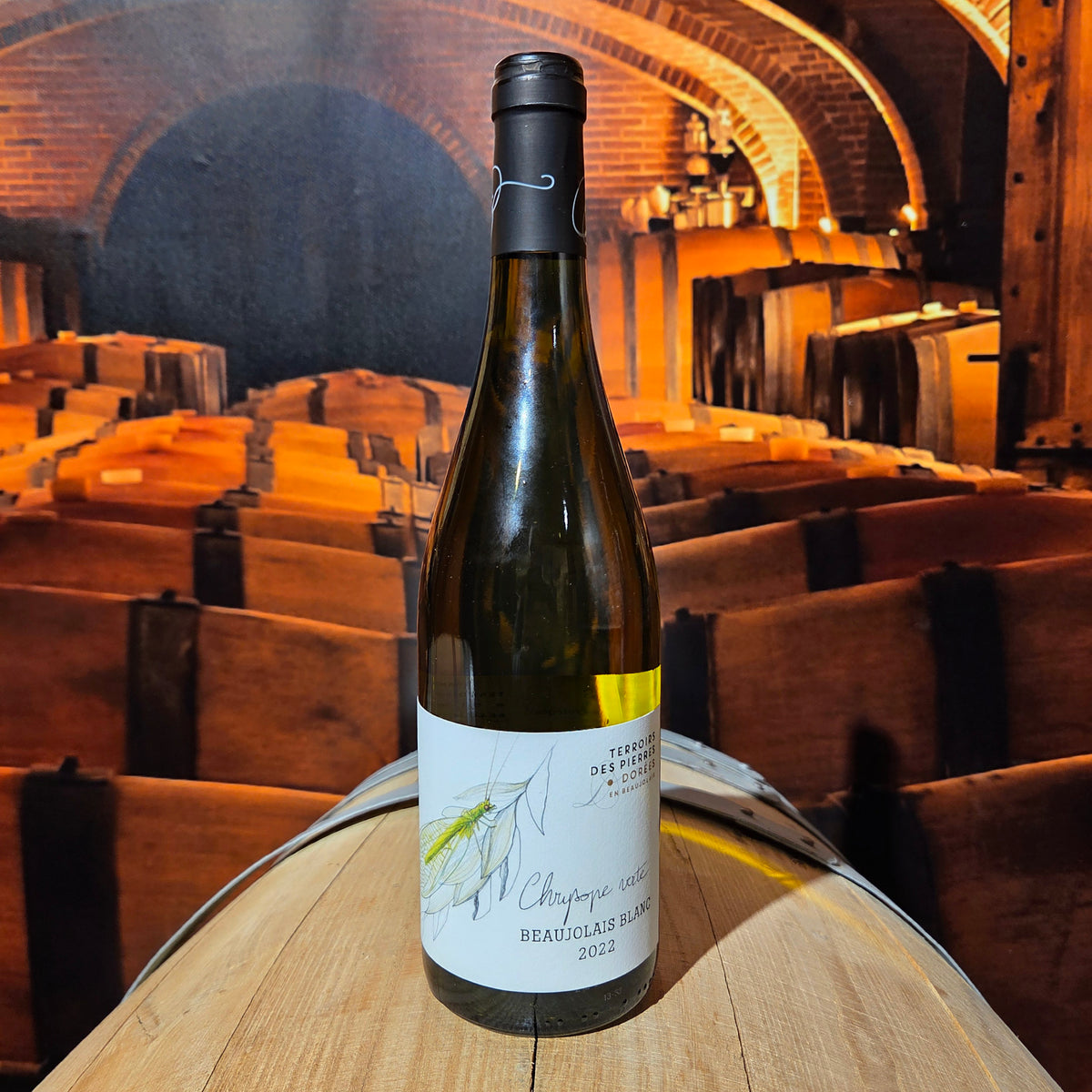 Chrysope Verte Beaujolais Blanc - Cave Du Chateau des Loges